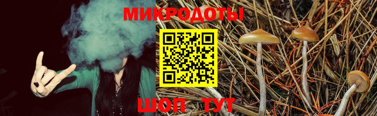 Сухой Лог  купить наркотики цена  Вход с VPN  Галлюциногенные грибы мицелий 