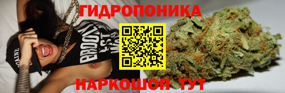 Марихуана планчик  Бошки Шишки White Widow  Сухой Лог  Бошки марихуана AK-47  Вход с VPN  Конопля сатива 